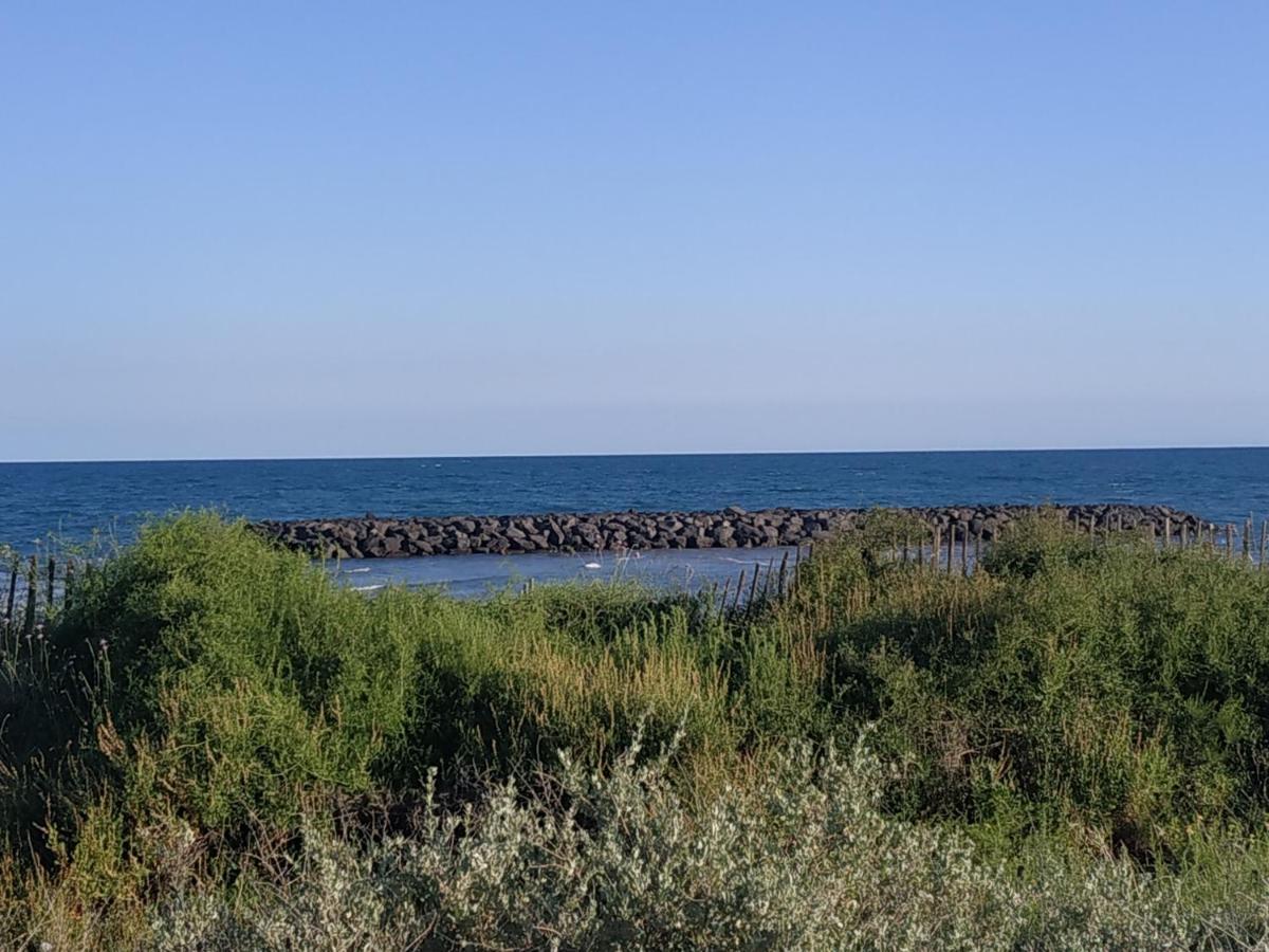 Appartement, Vue Sur Mer, Acces Direct Plage, Piscine Vias Exteriör bild